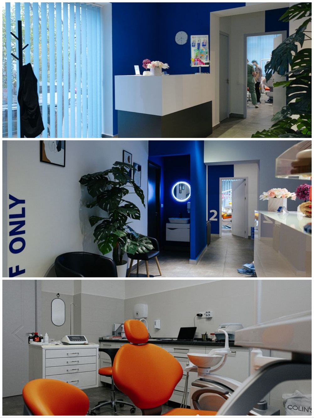 MaxiDent Clinic, Tbilisi, Georgia